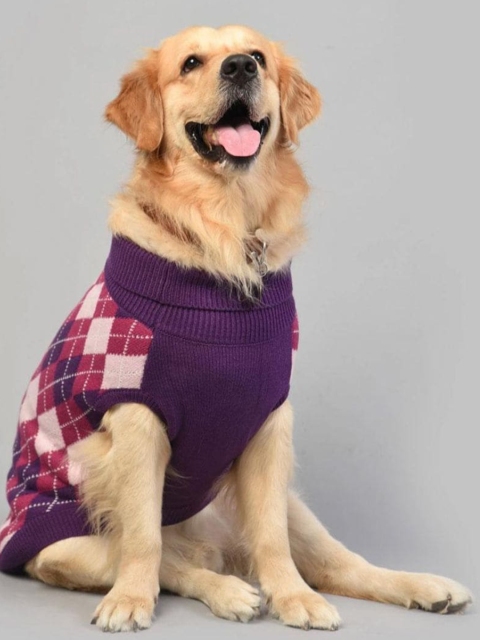 

Heads Up For Tails Purple HUFT Winter Dog Sweater