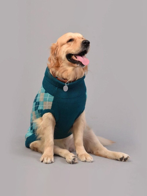 

Heads Up For Tails Blue HUFT Cosy Dog Sweater