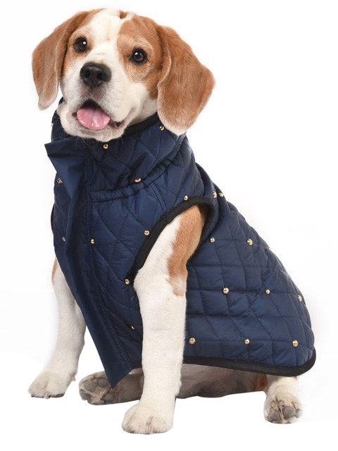 

Heads Up For Tails Blue Leger Leisure Series Dog Jacket
