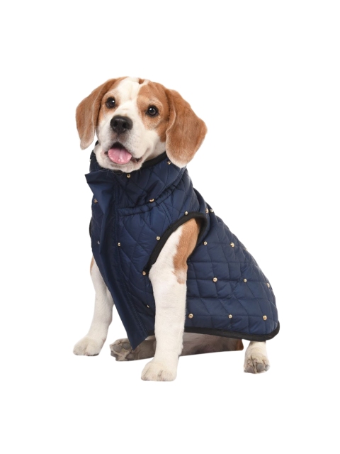 

Heads Up For Tails Blue Leger Leisure Series Dog Jacket
