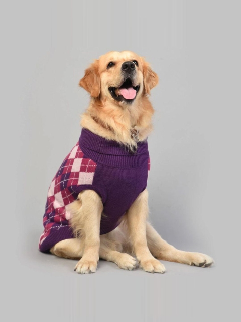 

Heads Up For Tails Purple Self Design Dog Sweater
