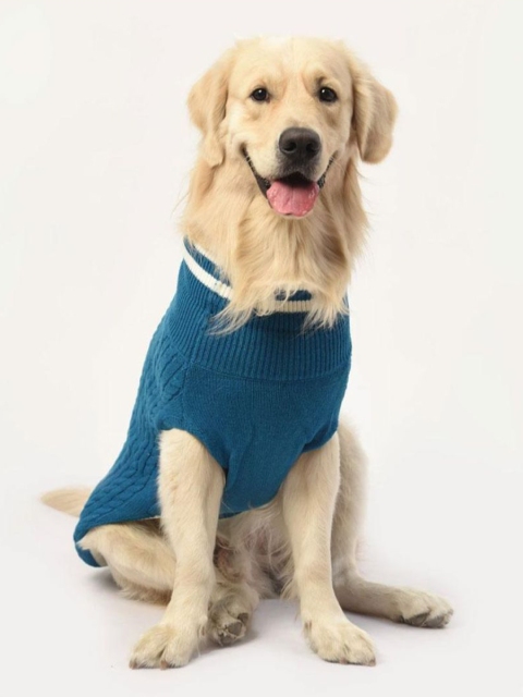 

Heads Up For Tails Blue Self Design Woolen Winter Land Dog Sweater