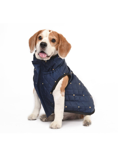 

Heads Up For Tails Blue Leger Leisure Series Dog Jacket