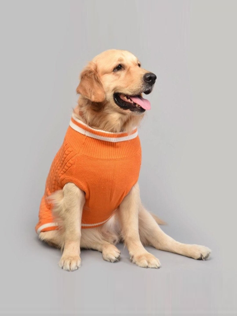 

Heads Up For Tails Orange HUFT Winter Land Dog Sweater