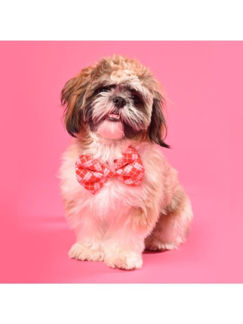 

Heads Up For Tails Red & Pink Checked Dog Bow Tie