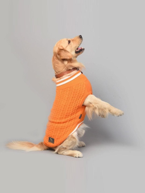 

Heads Up For Tails Orange HUFT Winter Land Dog Sweater
