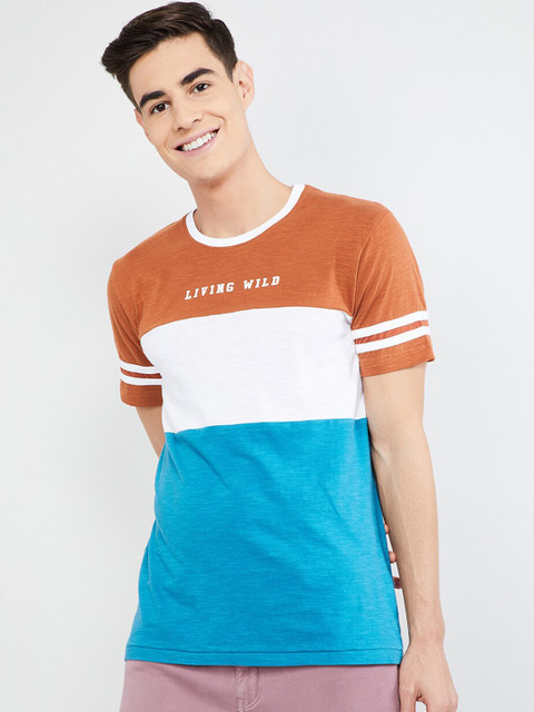 

max Men Brown & Blue Colourblocked Polo Collar T-shirt