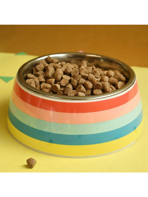 

Heads Up For Tails Multicoloured Rainbow Popsicle Dog Bowl, Multi