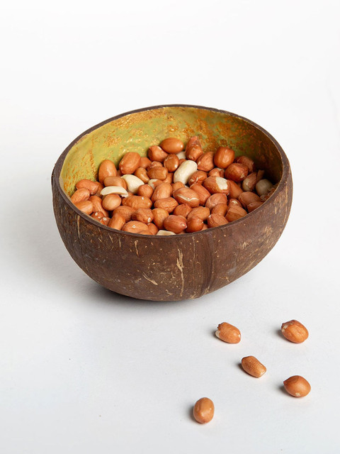 

ellementry Green Coconut Nut Single Wood Bowl