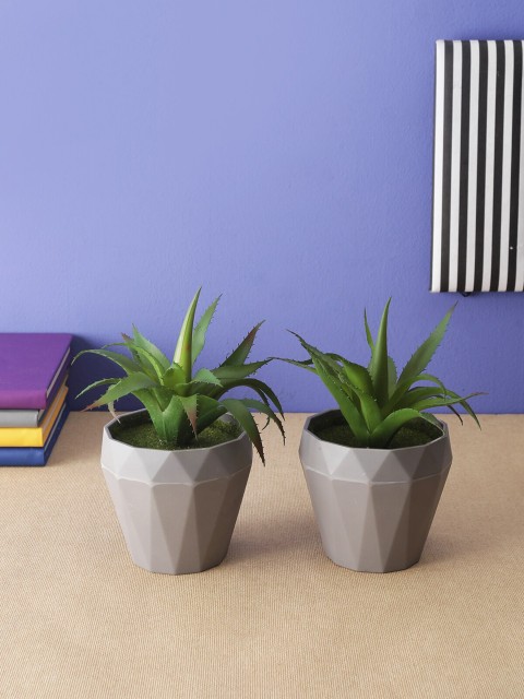 

OddCroft Set Of 2 Green Artificial Aloe Vera Plants With Grey Pots