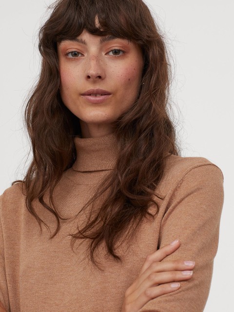 

H&M Women Beige Solid Fine-Knit Polo-Neck Jumper