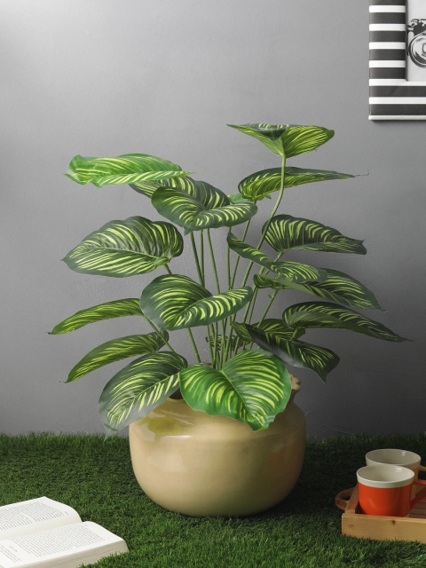 

OddCroft Green Artificial Calathea Floor Plant