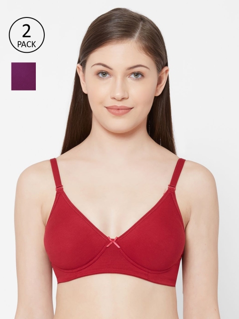 

Juliet Women Pack Of 2 Red & Purple Solid Non-Wired Lightly-Padded Everyday Bra SHIKHA