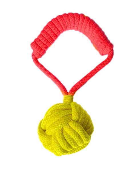 

Pawsindia Pink Tug Of War Dog Toy