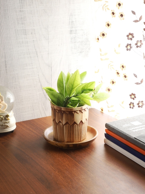 

CDI Brown & Beige Textured Ceramic Tumbler Shaped Planter With Plate