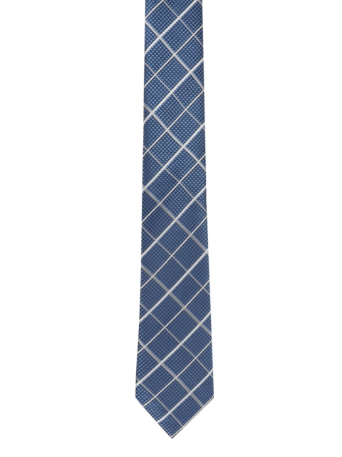 

Alvaro Castagnino Men Blue & White Checked Broad Tie