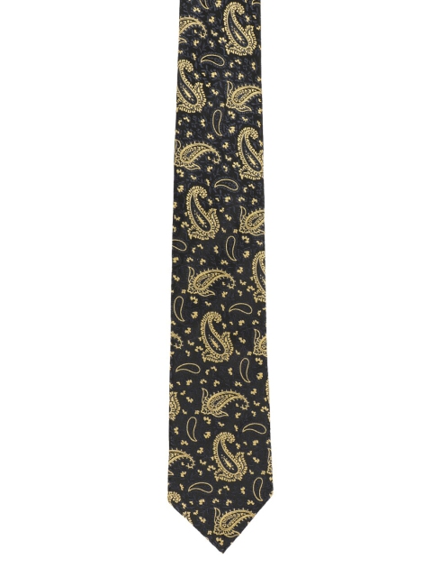 

Alvaro Castagnino Men Blue & Yellow Woven Design Broad Tie