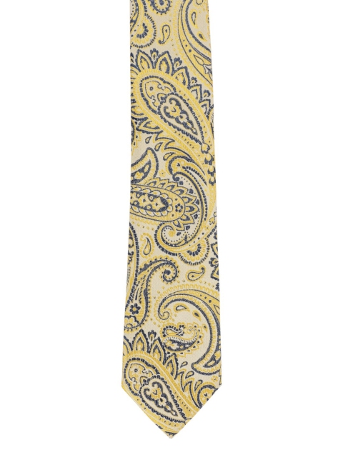 

Alvaro Castagnino Men Yellow & Grey Printed Broad Tie