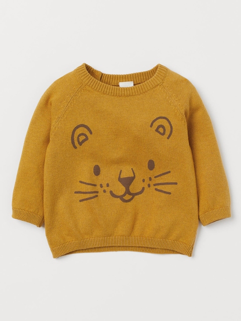 

H&M Boys Mustard Yellow Knitted Print-Motif Jumper
