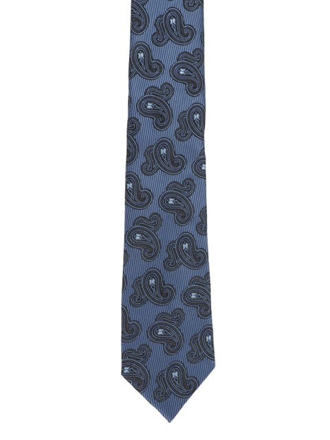 

Alvaro Castagnino Men Grey & Blue Printed Broad Tie
