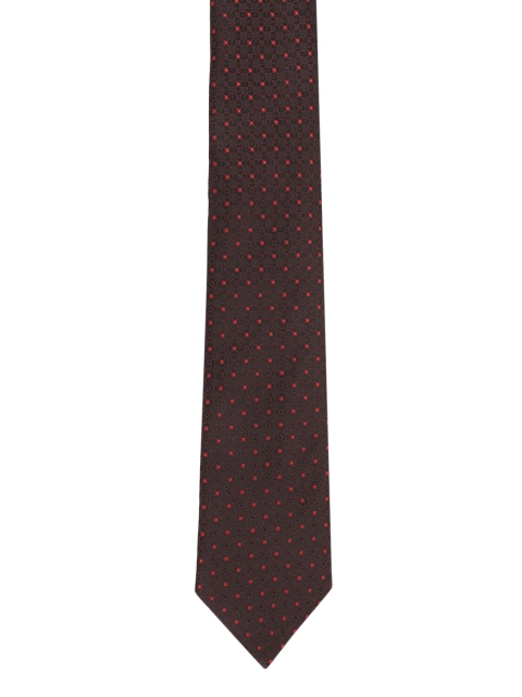 

Alvaro Castagnino Men Brown & Red Printed Broad Tie