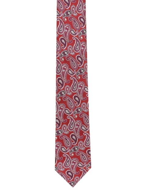 

Alvaro Castagnino Men Maroon Printed Broad Tie