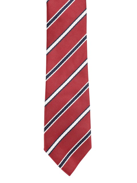 

Alvaro Castagnino Men Maroon & White Striped Broad Tie