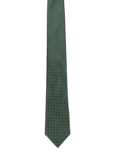 

Alvaro Castagnino Men Green Woven Design Broad Tie