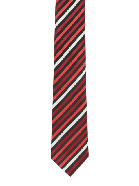 

Alvaro Castagnino Men Multicoloured Striped Broad Tie, Multi