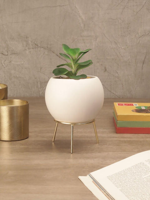 

OddCroft White & Gold-Toned Solid Cauldron Planter With Stand