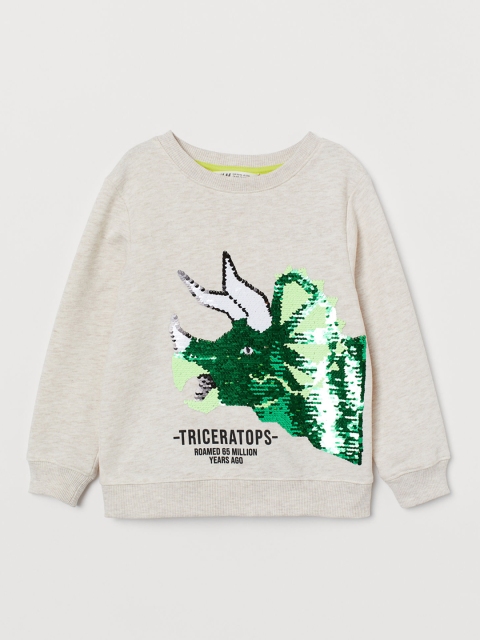 

H&M Boys Beige & Green Reversible Sequin Sweatshirt
