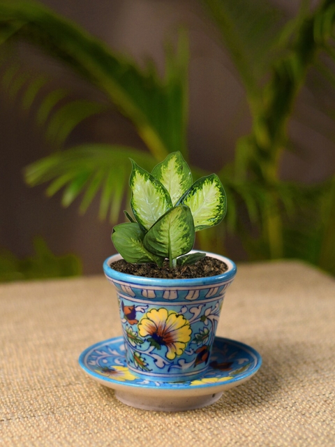 

Unravel India Blue & Yellow Printed Ceramic Table Top Planter