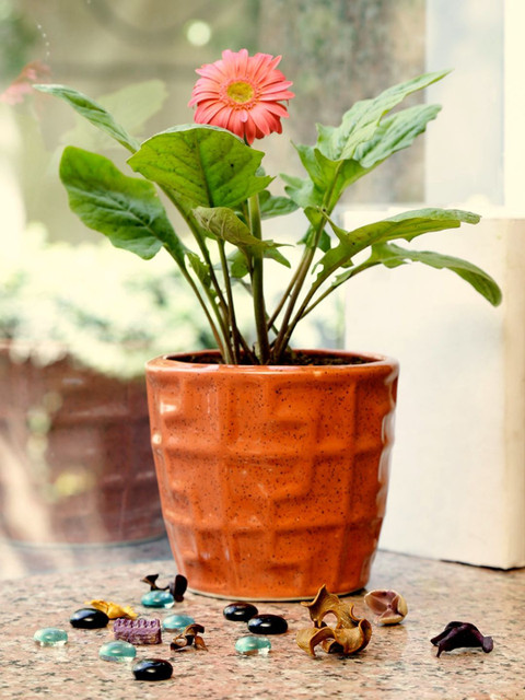 

Unravel India Brown Textured Hand made stoneware Planter
