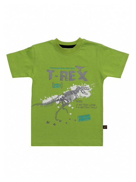 

Kid Studio Boys Green Printed Round Neck Cotton T-shirt