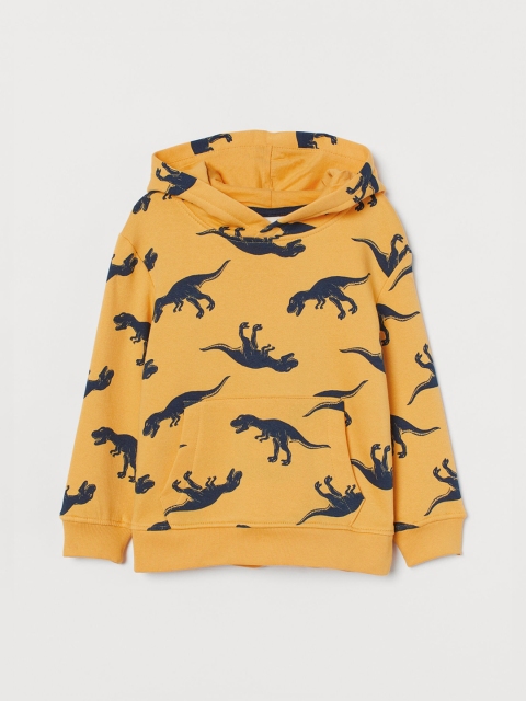 

H&M Boys Yellow Hooded top