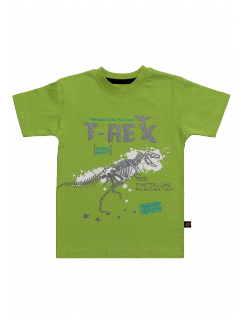 

Kid Studio Boys Green Printed Round Neck T-shirt