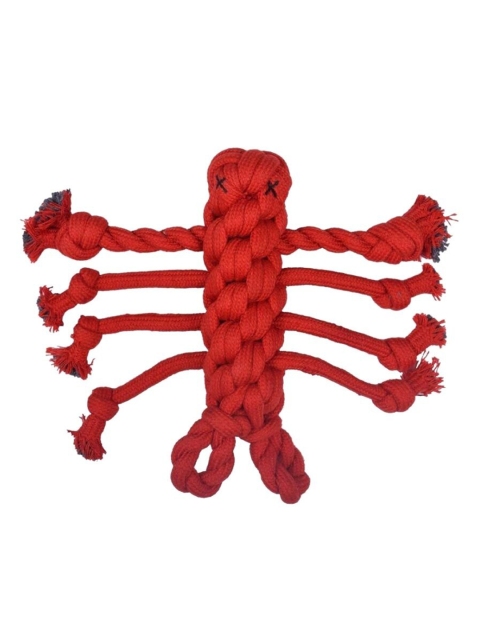 

Poochles Green Red Lobster Shaped Rope Dog Toy