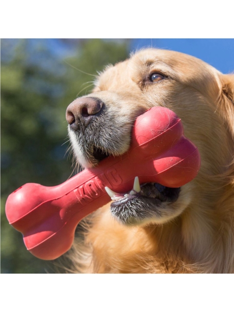 

KONG Red Classic Goodie Bone Chew Dog Toy