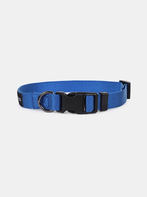 

Heads Up For Tails Blue Essentials Nylon Dog Collar