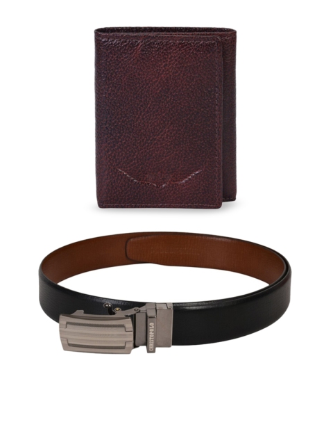 

CHRISTOPOLO Men Black & Brown Solid Belt With Wallet