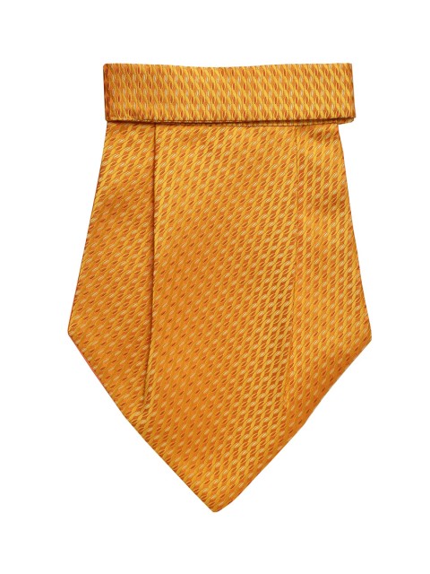 

Alvaro Castagnino Men Orange and Yellow Woven Design Tie