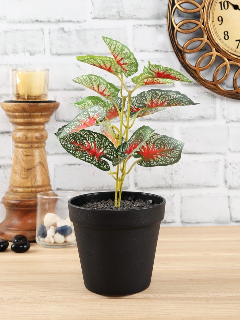 

NATURES HOME Green & Black Artificial Plant With Pot
