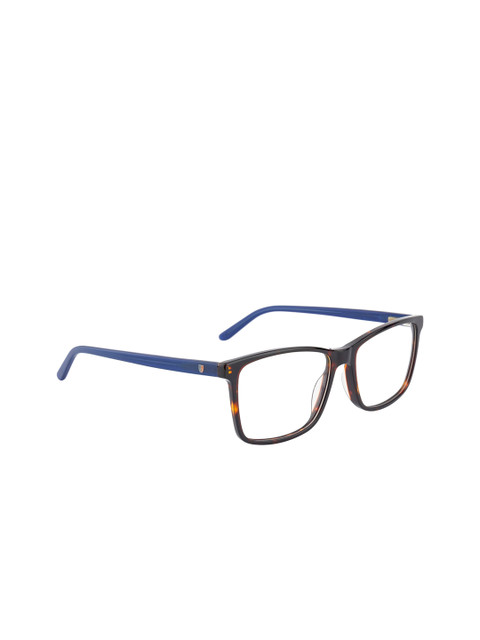 

Ted Smith Unisex Brown & Blue Colourblocked Full Rim Wayfarer Frames TS-N111_C4