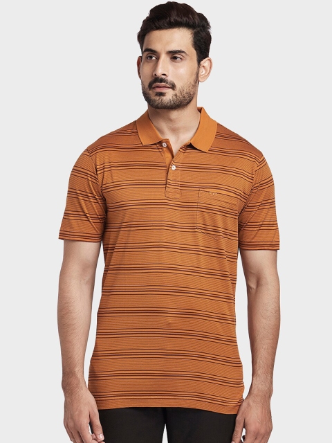 

ColorPlus Men Brown Striped Polo Collar T-shirt