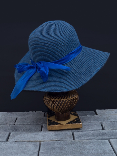 

Golden Peacock Women Navy Blue Woven-Design Sun Hat