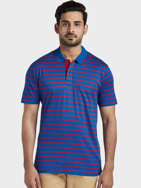 

ColorPlus Men Blue Striped Polo Collar T-shirt