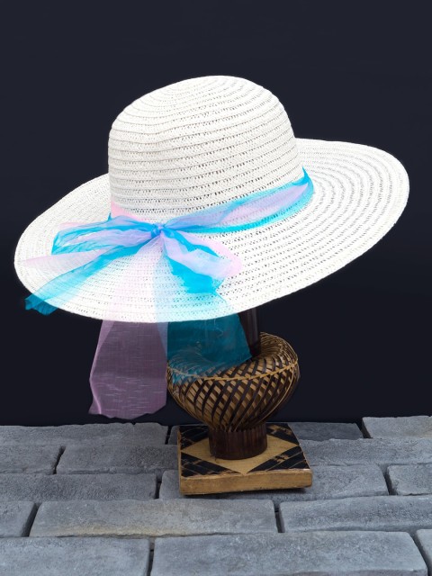 

Golden Peacock Women White & Blue Woven-Design Straw Sun Hat