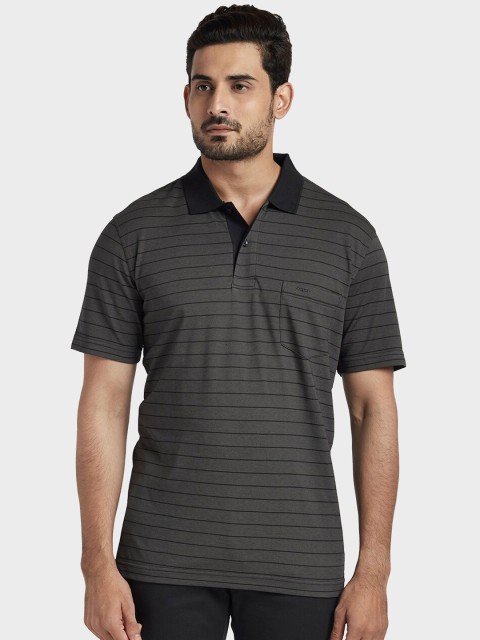 

ColorPlus Men Grey & Black Striped Polo Collar T-shirt