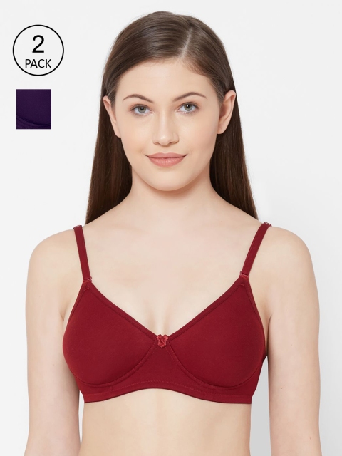 

Juliet Women Pack Of 2 Solid Non-Padded Non-Wired All Day Comfort T-Shirt Bra 1030, Maroon