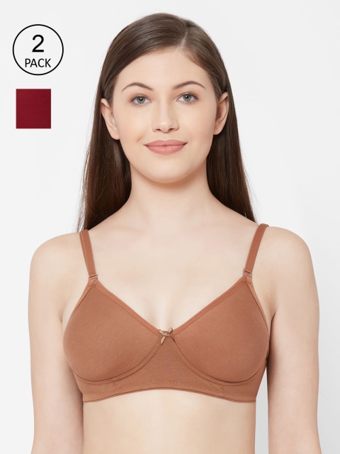 

Juliet Women Pack Of 2 Solid Non-Wired Non-Padded Everyday Bra 1030, Maroon